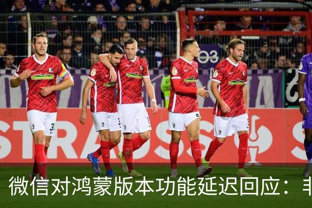 微信对鸿蒙版本功能延迟回应：非故意拖延更新